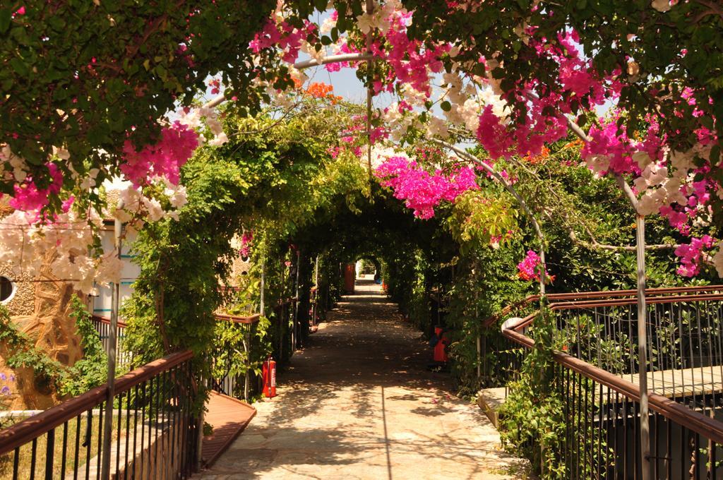 Siesta Beach Apartment Bodrum Bagian luar foto