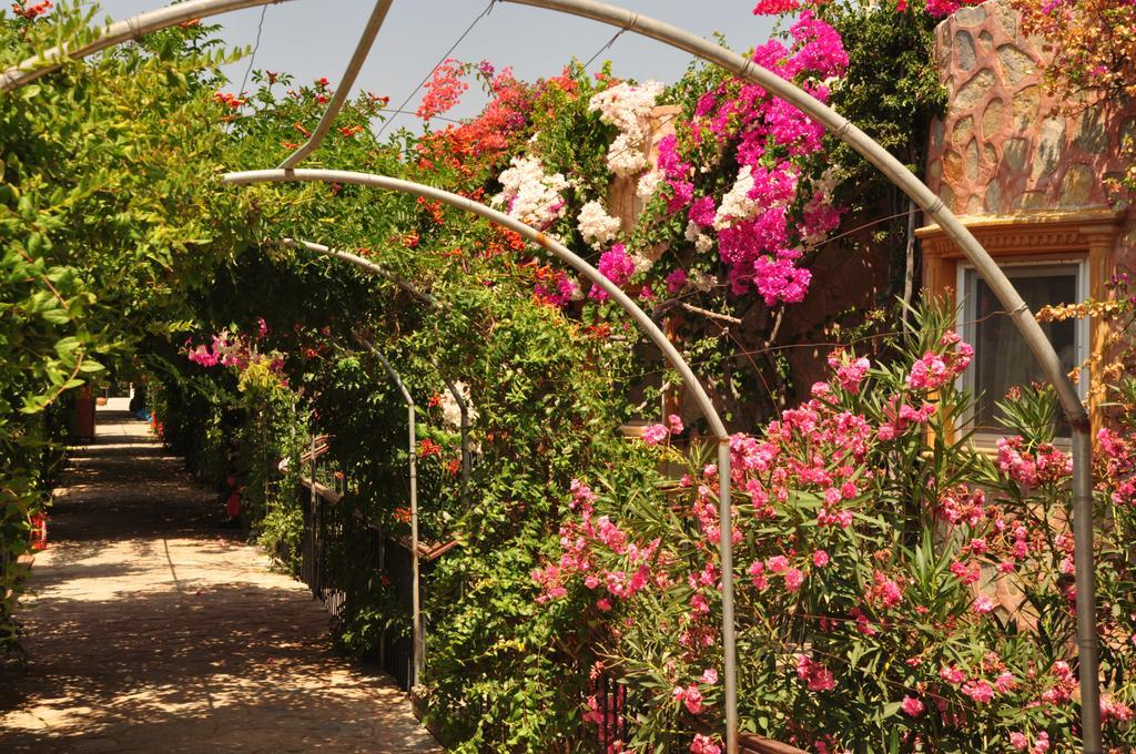 Siesta Beach Apartment Bodrum Bagian luar foto