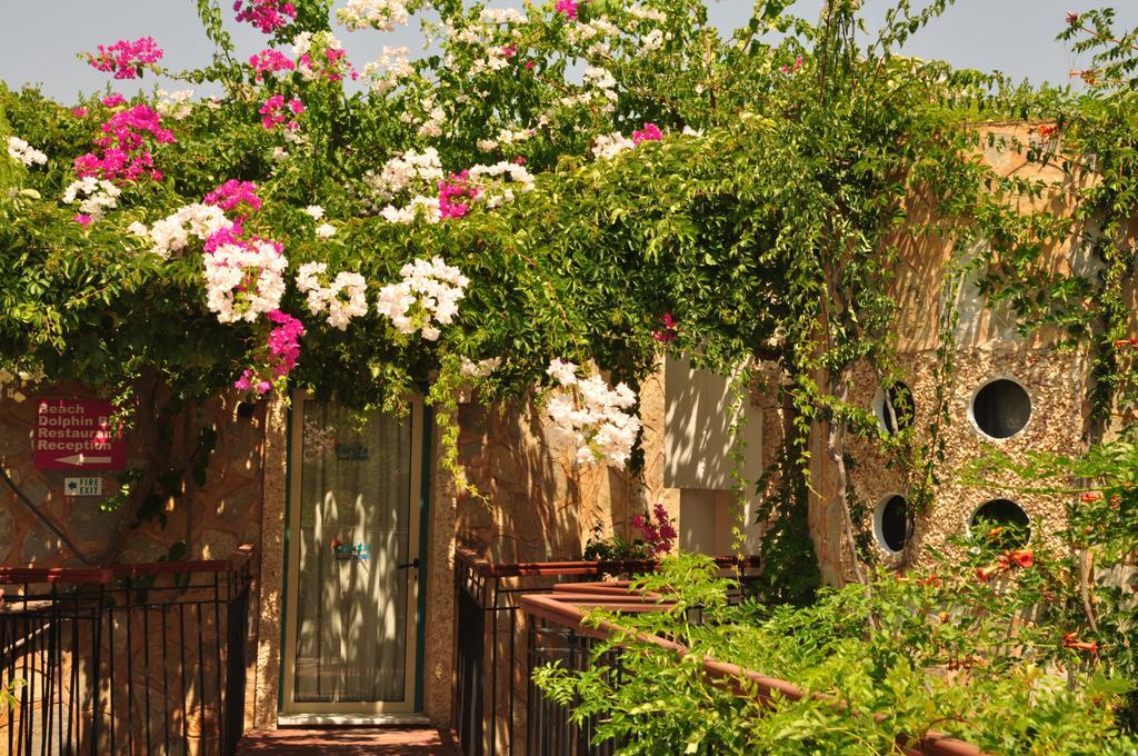 Siesta Beach Apartment Bodrum Bagian luar foto
