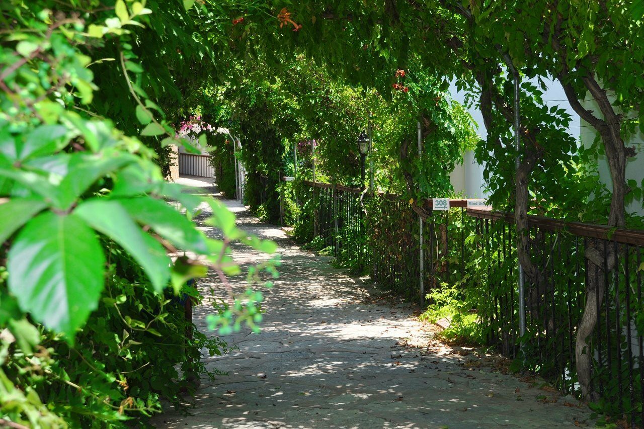 Siesta Beach Apartment Bodrum Bagian luar foto