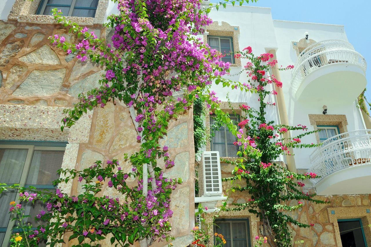 Siesta Beach Apartment Bodrum Bagian luar foto